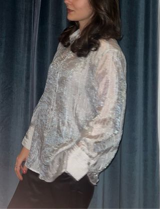 Zara transparent shimmering blouse
