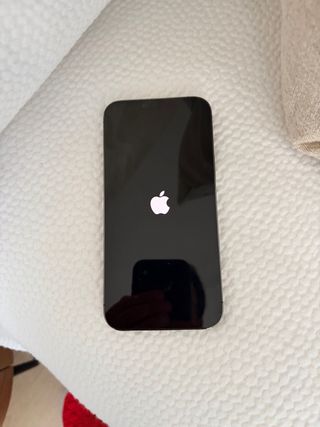 iPhone 13 Pro Max 256GB Grigio