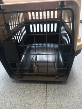 Transportadora Gato Nova