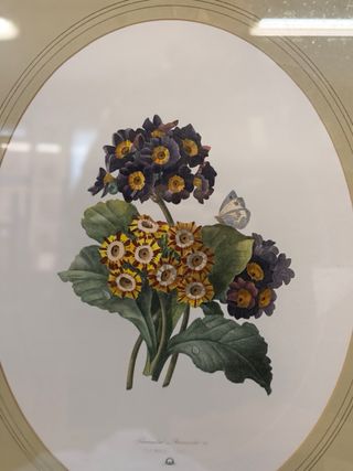 Stampe floreali con cornice in legno