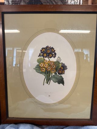 Stampe floreali con cornice in legno