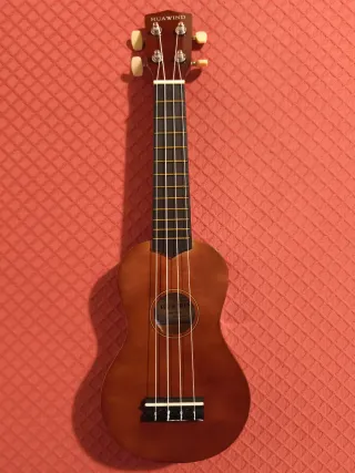 Ukulele HUA WIND marrone per principianti