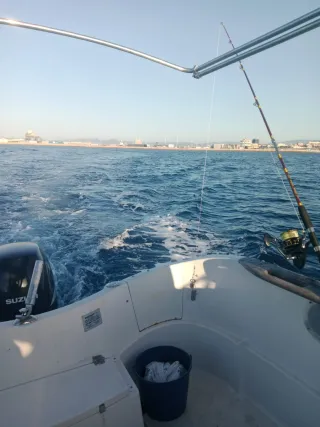 Barco Quicksilver Pilothouse