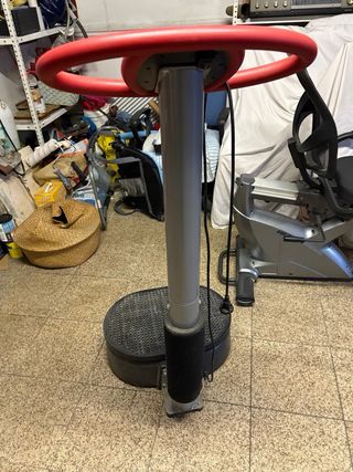 Plataforma Vibratoria Profesional