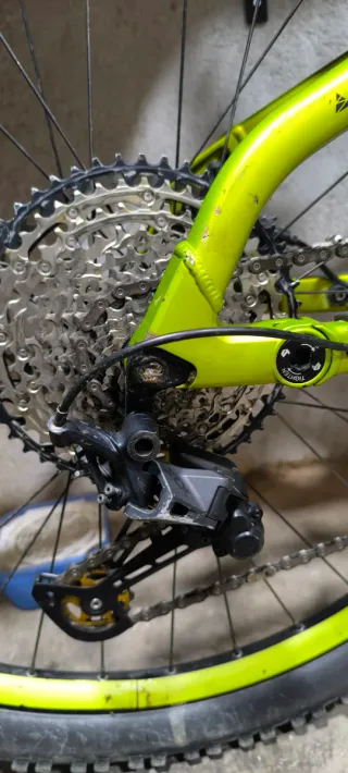 Bici Eléctrica MTB Bosch CX 1920 km