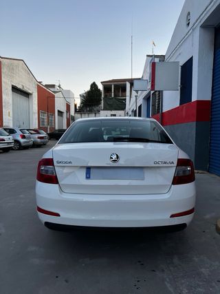 Skoda Octavia 2.0 150cv DSG Automatico 2014