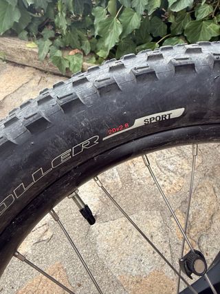 Bicicleta Specialized Riprock 20 Infantil