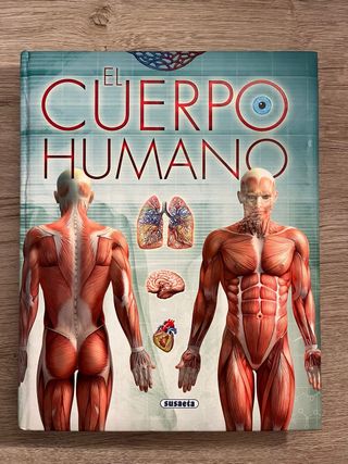 El Cuerpo Humano