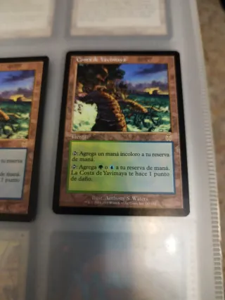 Costa de Yavimaya x2 - Magic The Gathering