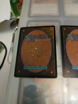 Costa de Yavimaya x2 - Magic The Gathering