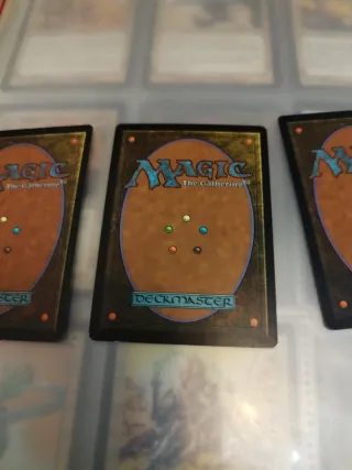 Costa de Yavimaya x2 - Magic The Gathering