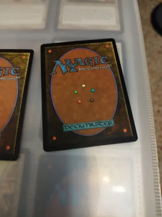 Costa de Yavimaya x2 - Magic The Gathering