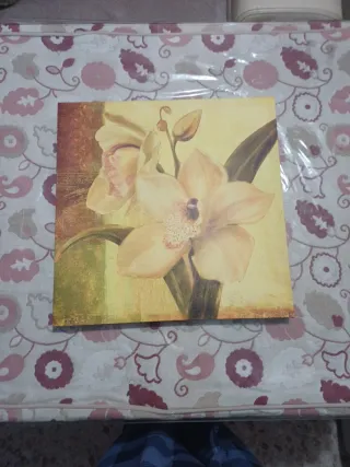 3 Cuadros de Orquídeas 38x38cm