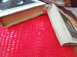 Libros Blasco Ibañez:La tierra de todos; La bodega