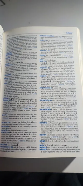 Diccionario Secundaria y Bachillerato: Lengua E...