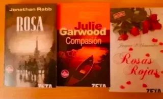 Lote de novelas juveniles