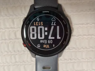 Garmin Forerunner 255 Gris