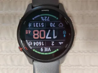 Garmin Forerunner 255 Gris