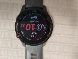 Garmin Forerunner 255 Gris