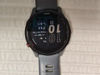 Garmin Forerunner 255 Gris