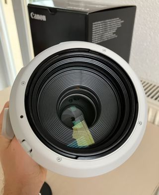 Canon RF 100-500mm L IS USM Objetivo