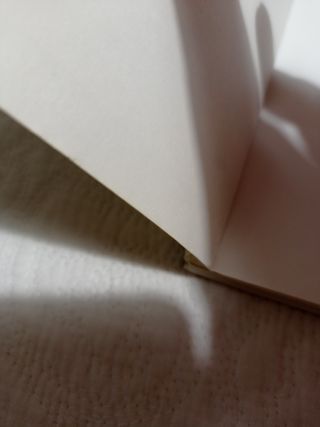 EL VERANO QUE NOS COMIMOS LA LUNA