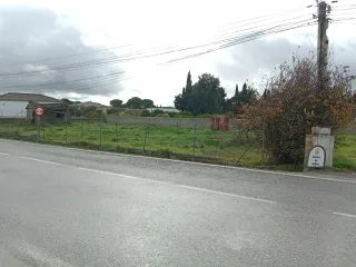 Parcela segregada de 500 metros en Pago del Humo