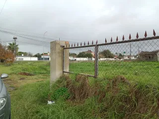 Parcela segregada de 500 metros en Pago del Humo