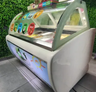 VITRINA HELADOS PROFESIONAL ( precio negociable)
