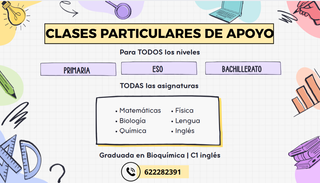 Clases particulares de apoyo