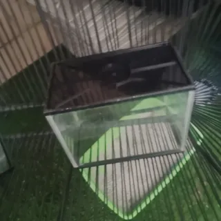 2 Peceras 28 y 15 litros