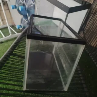 2 Peceras 28 y 15 litros