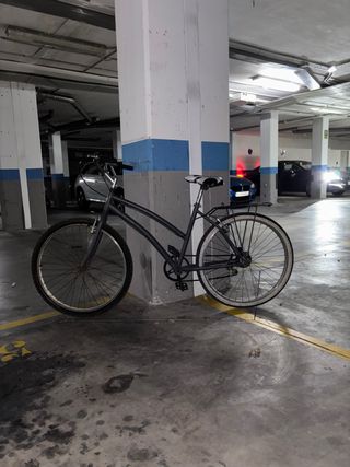 Bicicleta urbana gris