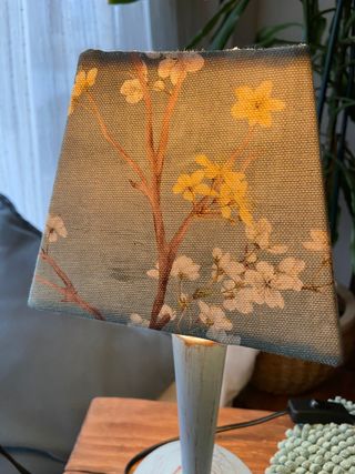 Pareja Lamparas en azul claro Shabby Chic oriental