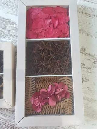 Cuadros decorativos con semillas