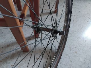 Rueda delantera Bicicleta MTB