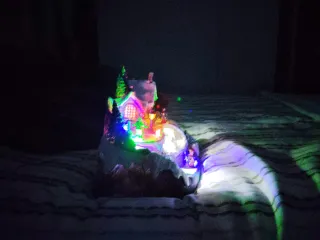 Caja de música coleccionistas