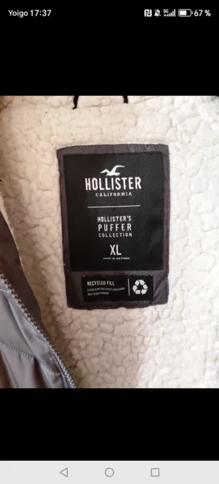 Chaqueta Hollister