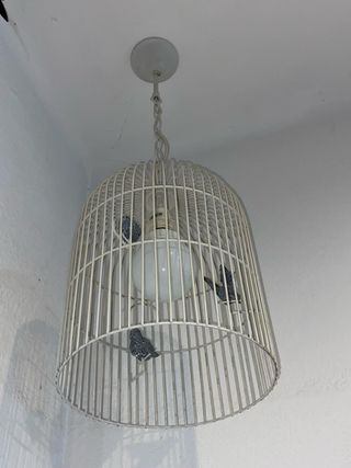 Lámpara de techo jaula pájaros