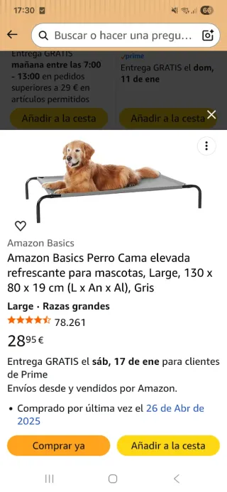 Cama elevada para mascotas gris