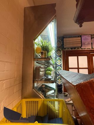 Vitrina expositora profesional