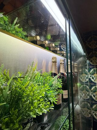 Vitrina expositora profesional