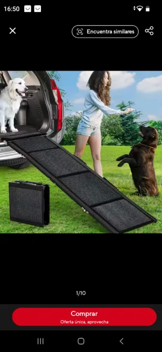 Escalera plegable portátil para perros