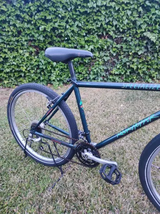 Bicicleta Specialized Rockhopper 90's!