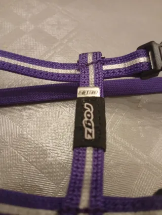 Arnés para perro raza pequeña