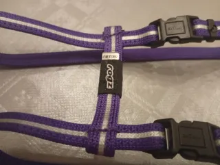 Arnés para perro raza pequeña