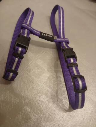 Arnés para perro raza pequeña