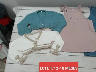 Lote Ropa Niña 12-18 Meses