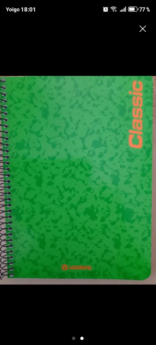 LOTE 6 BOLSAS DE PAPEL DE REGALO + 13 CUADERNOS.