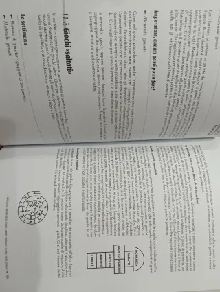 Giochi e attività nel bosco e in città. Idee pe...